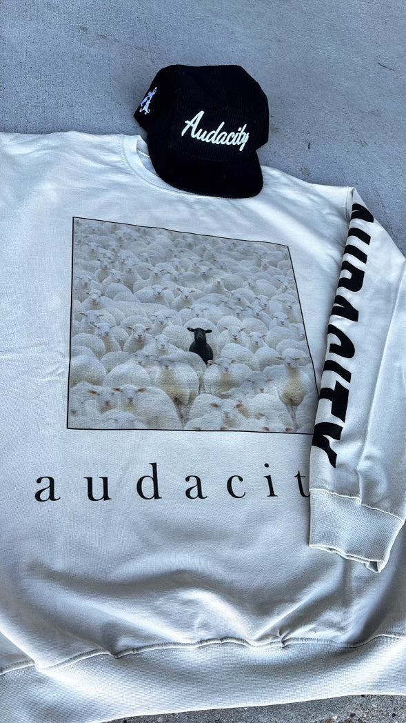 Audacity Black Sheep