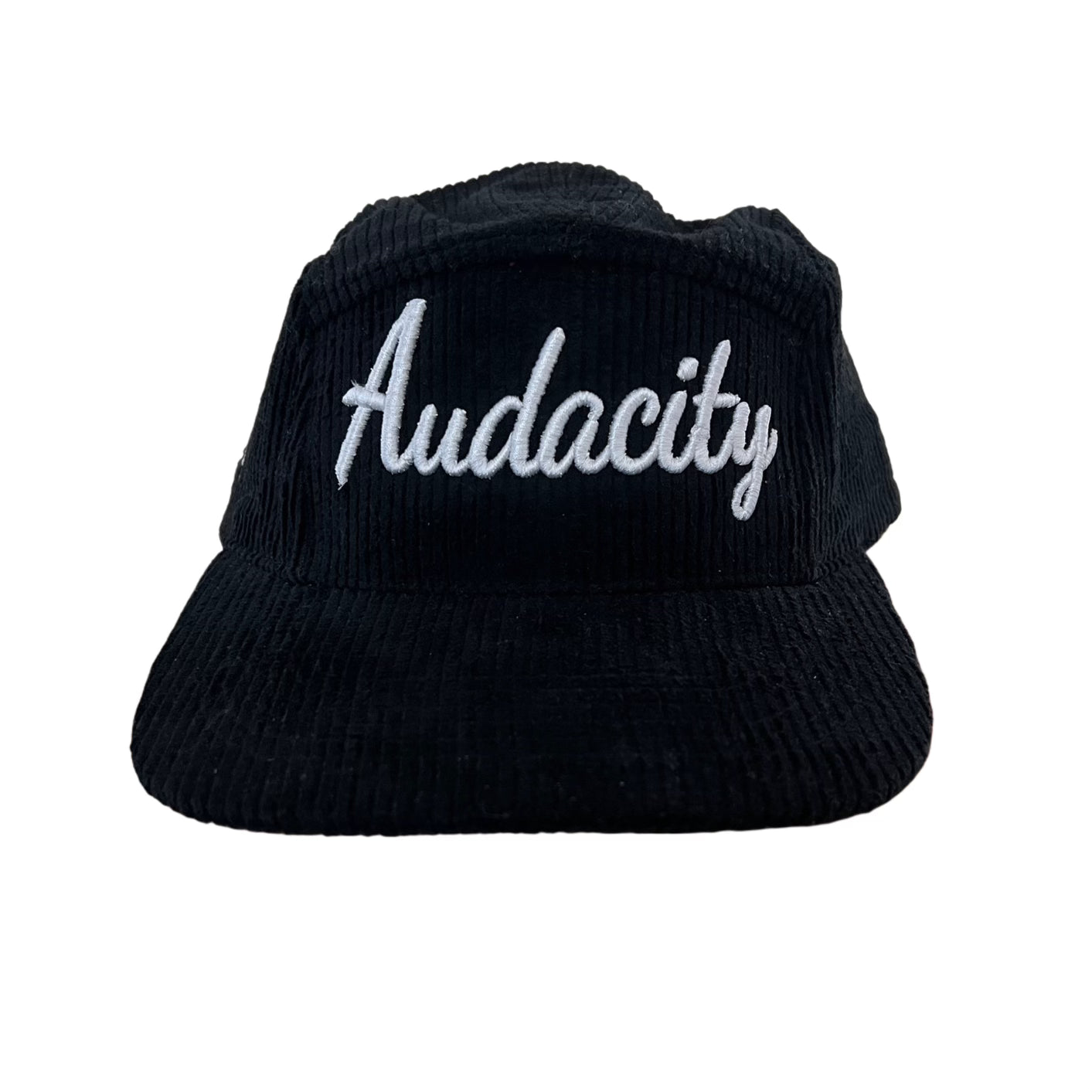 5 Panel Audacity Cap