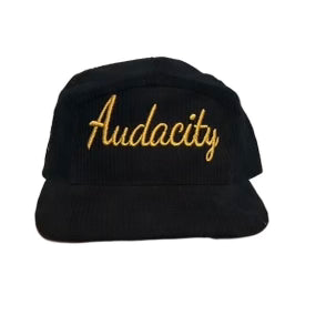 5 Panel Audacity Cap