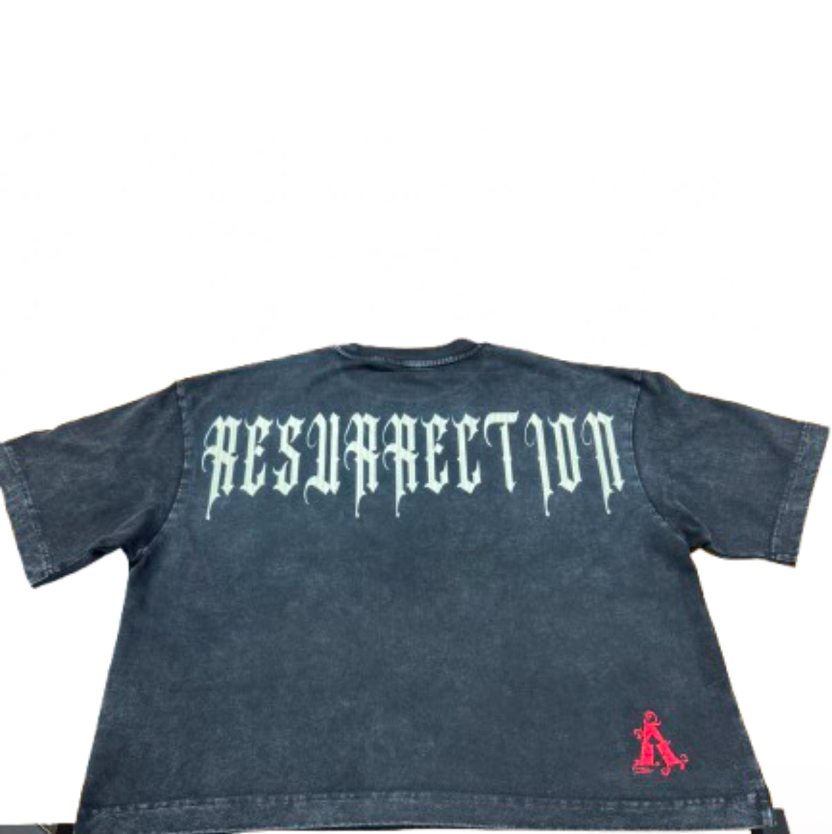 “RESURRECTION “